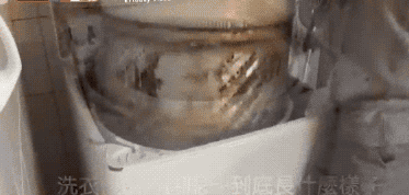 洗衣机用3个月细菌量竟是马桶的530倍？！(图1)