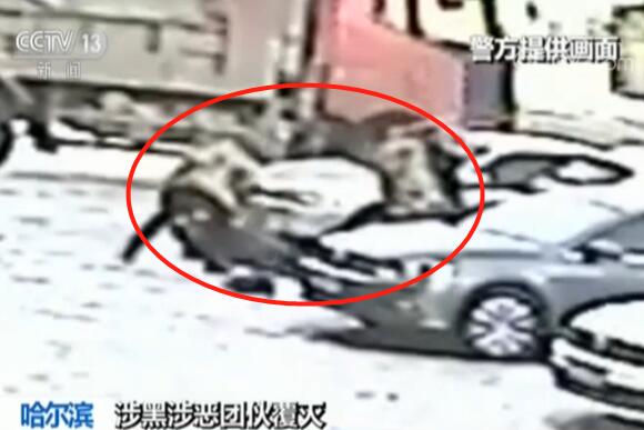 黑龙江一镇党委委员私藏枪支，暴力伤害上访者