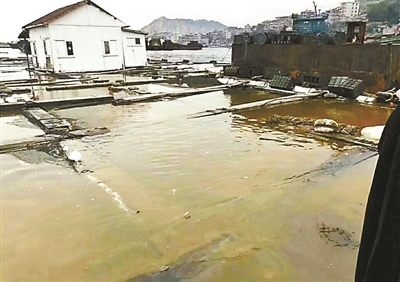 被污染的养殖水体