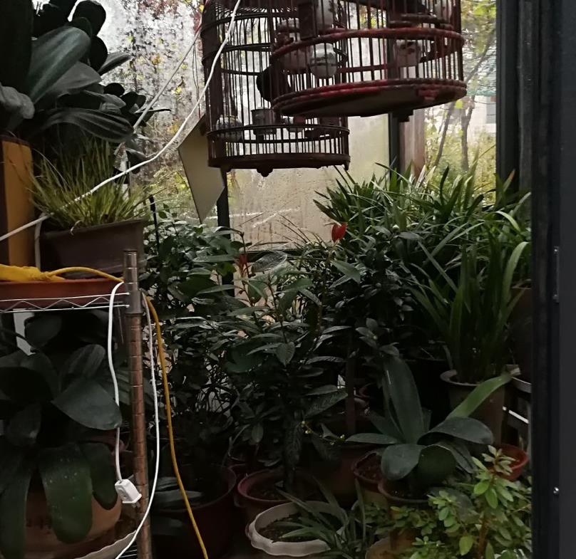 杨幂爸爸晒自家豪宅美景，拍摄技术亮了