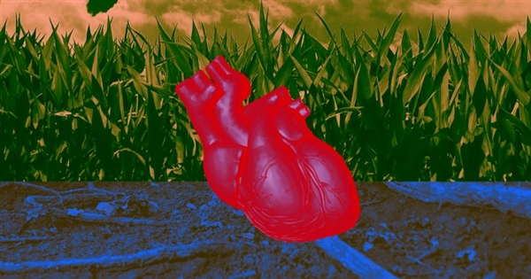 科学家开启人造心脏：跟真实一样能跳动