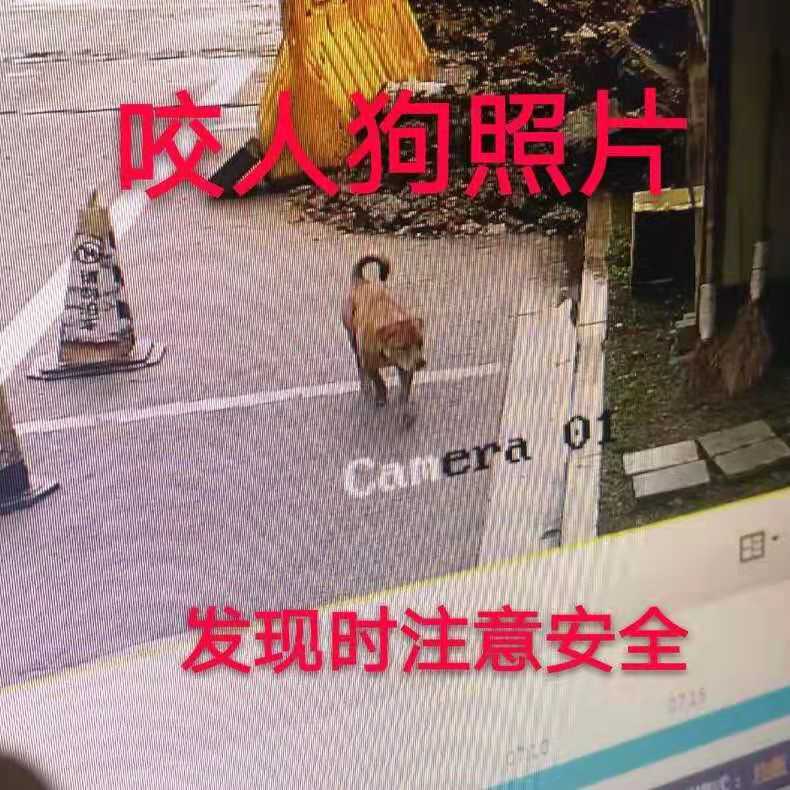 微信图片_20181117121505.jpg