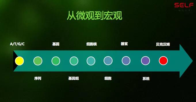 说出来你可能不信 你和贝克汉姆99.9%都是相似的