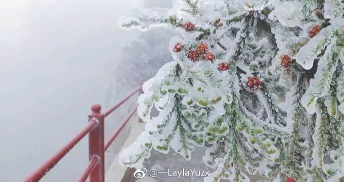 听说，全中国都在背着北京下雪