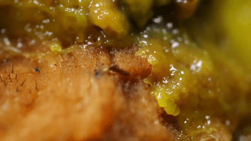 人花百年规划设计的铁路网 无脑生物26小时就搞定了