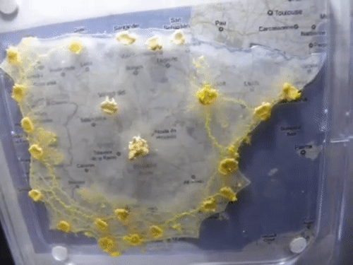 人花百年规划设计的铁路网 无脑生物26小时就搞定了