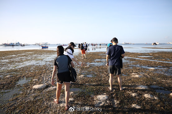 前面还有陆地,后面全是泥浆,滩涂路里面什么都有