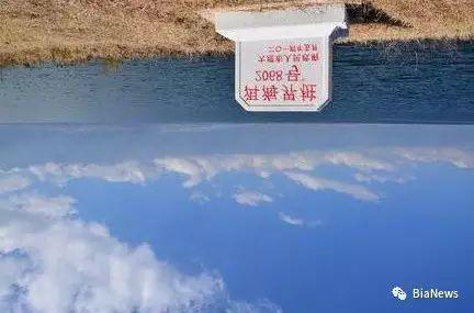 元宵节猜灯谜 关注互联网的你能猜对几个呢?