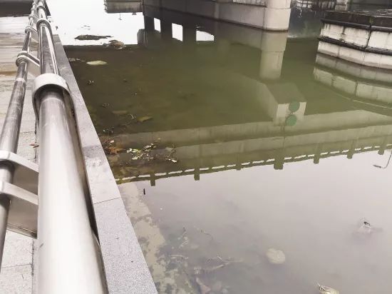 29岁小伙不幸殒命 这类“暴富生意”害人不浅