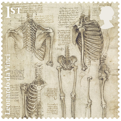 骨骼(1510-1511)
