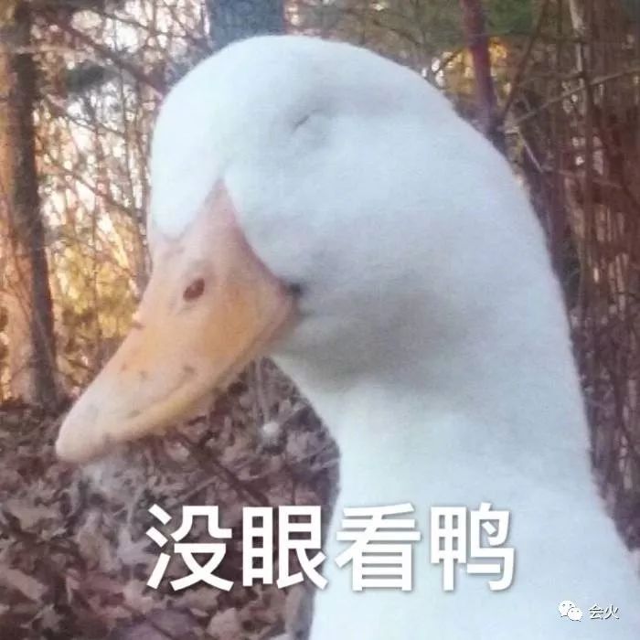 她没能把脱掉的衣服一件件穿回，却也成了人生赢家