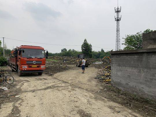 几千辆ofo小黄车被碾压成废铁,以15元/辆价格拉进废品厂