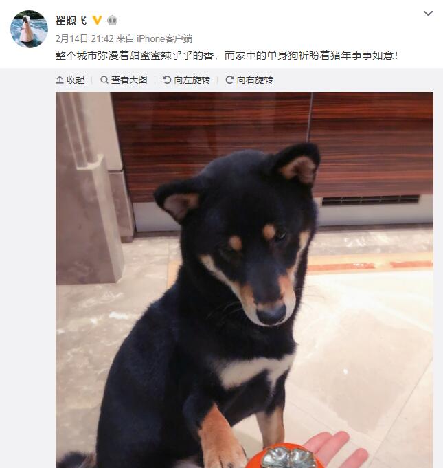 雷佳音出轨佟丽娅？他老婆发声辟谣了！