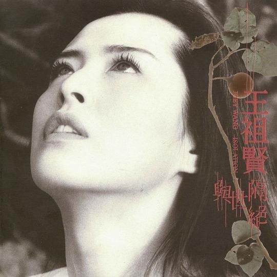 王祖贤王菲张柏芝到底谁更美？看完这些更难选了