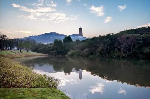 来牛首山,感念父爱如山!_凤凰江苏