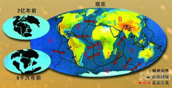 2016年07月19日 - 心缘宝贝 - 心缘宝贝 地球16大惊人事实:人类曾仅剩2000人(图) - 雷石梦 - 雷石梦