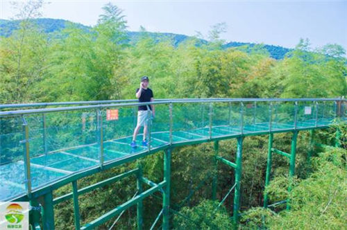 宜兴湖父镇推出2016纳凉避暑路线