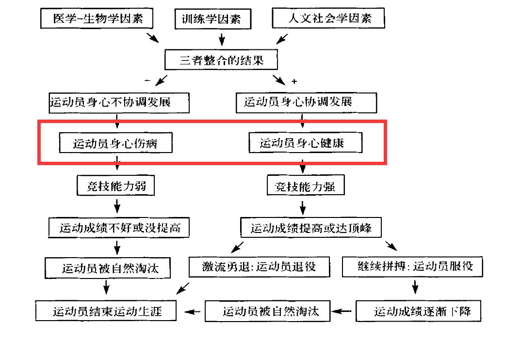 乐鱼网站为何中国选手运动寿命短 里约破解匈牙利盛产老将之谜(图7)