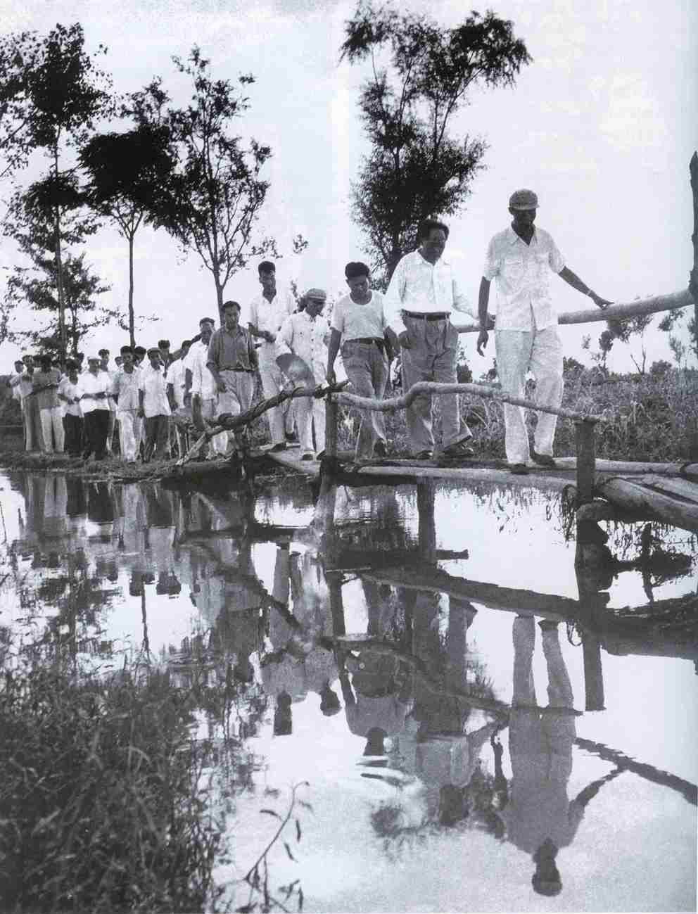 1958年8月6日，毛泽东视察河南省新乡七里营人民公社，在察看棉田时经过独木桥。