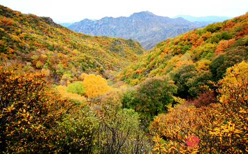 野三坡简谱_野三坡景区