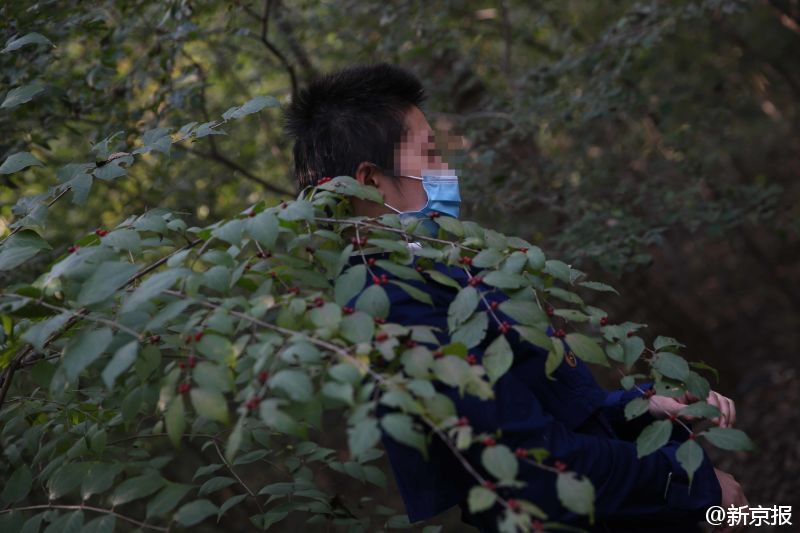 老虎伤人事件伤者: 后悔没立刻发声 将提起诉讼