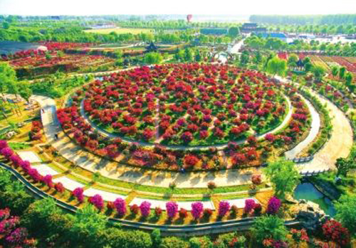 南阳月季博览园