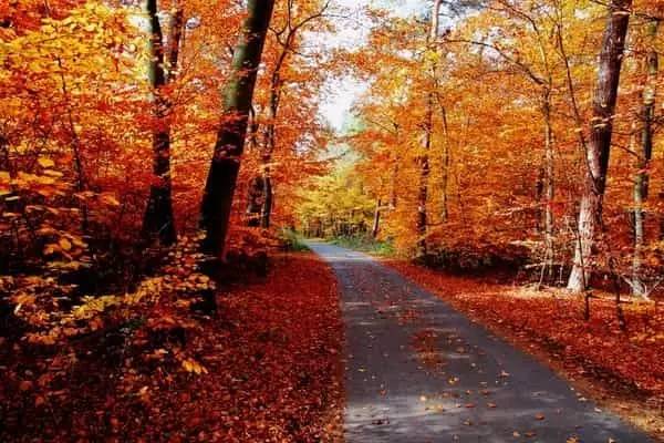 新新博菜真钱娱乐新闻中心!