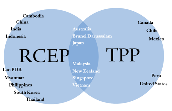 美国机构:若TPP失败RCEP生效 中国获益880亿美元