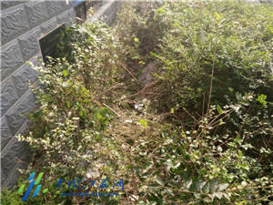 扬州 | 男子五楼楼顶坠落身亡 疑因和未婚妻吵架