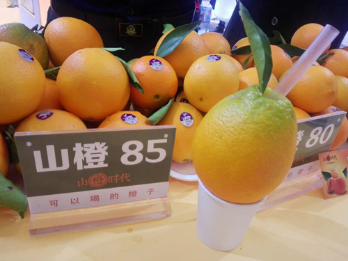 奉节脐橙高端品牌山橙时代亮相上海亚果会_