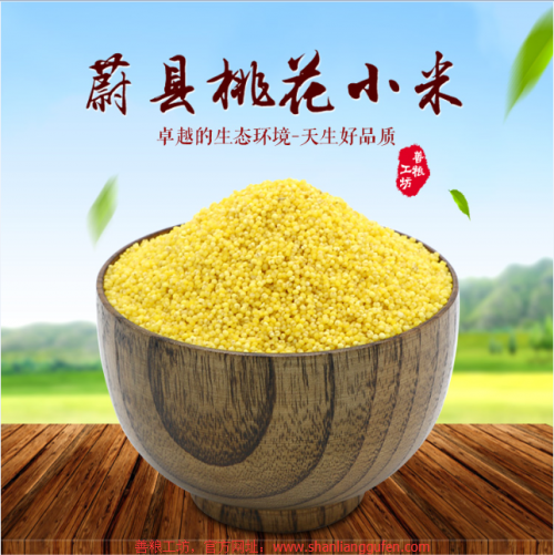 尉县多少人口_尉县(2)