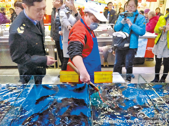 北京多家超市陆续恢复活鱼销售(图)