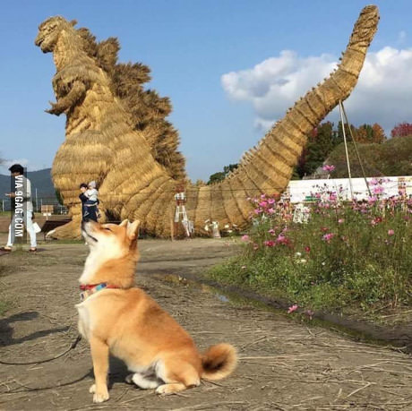 [囧图]别问我叫什么名字,我的名字是你大爷