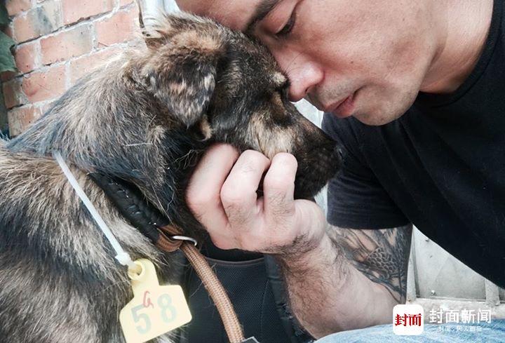 美国华裔玉林救狗英雄遭质疑：他救的狗死了大半