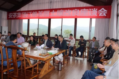 极白安吉白茶园保障品质,如何实现土壤改良?