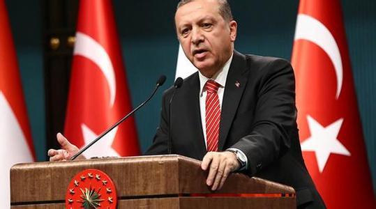 土耳其总统：已掌握美国联军支持IS证据