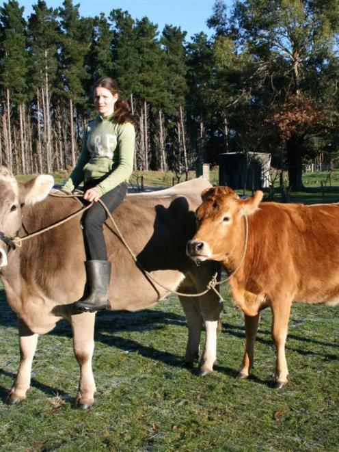 因为她像骑马一样骑着牛 她住的小镇都成了景点