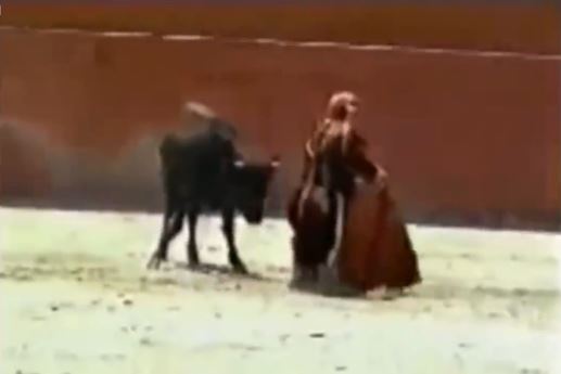 公牛被女斗牛士激怒 掀翻斗牛士骑到她身上