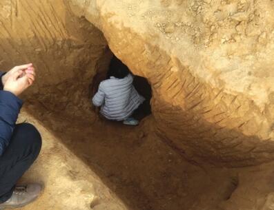 甘肃发现汉墓 考古人员深夜“抢救”出一汉代铜镜