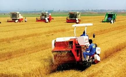 黑龙江：“两链”发力推动农业供给侧改革