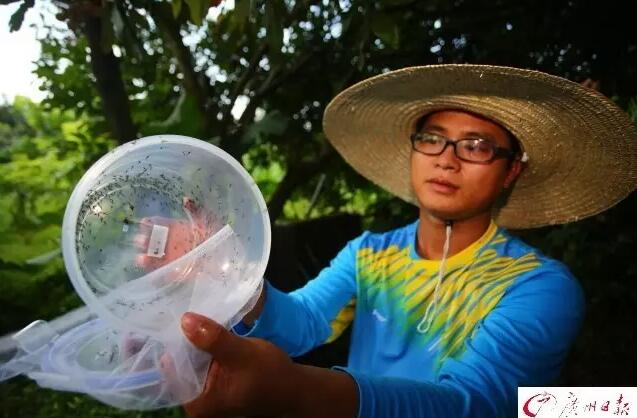 不好意思,广州这些高科技真让人拍案叫绝!因为