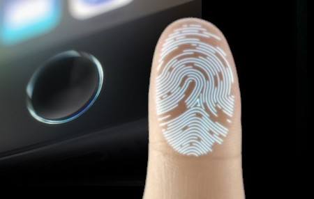 指纹排名_指纹画创意画(2)