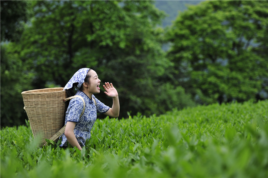怎么才能成为顶级绿茶 a1b34968d874090_size197_w900_h598.jpg
