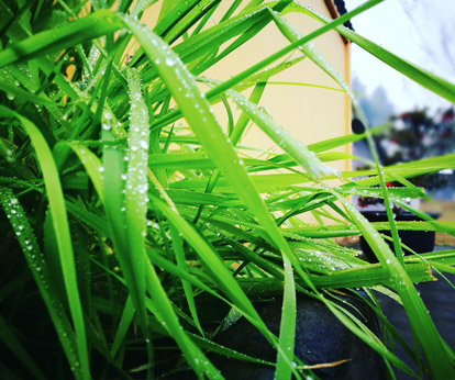 一日禅:可遇不可求的事