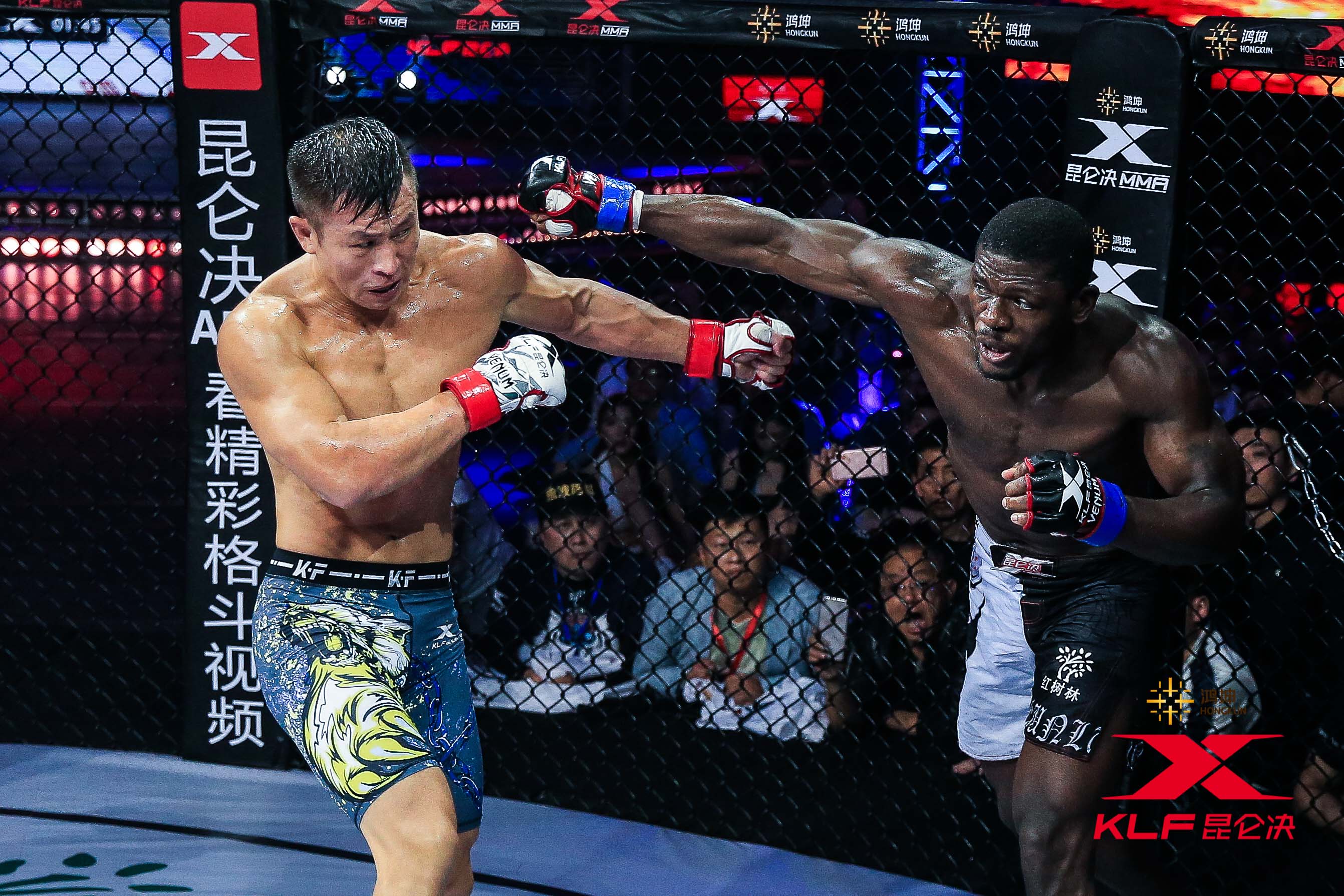 鸿坤昆仑决引众明星观战 功夫影星赵文卓目睹