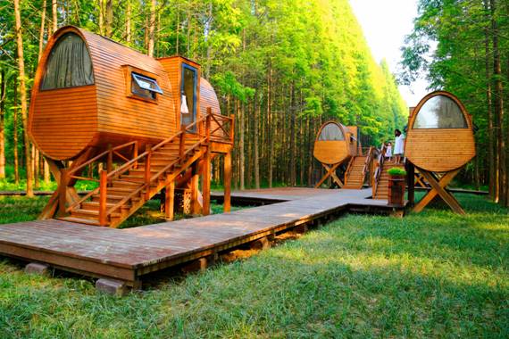 《大国小镇》专访|东台市旅游局局长:将东台建