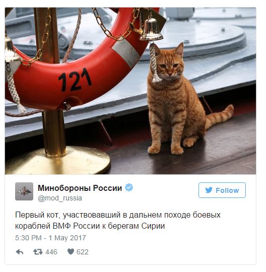 俄国海军招募了一名猫水手 杀伤力惊人_凤凰财
