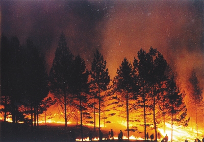 1987年大兴安岭火灾:百万公顷森林被毁 211人
