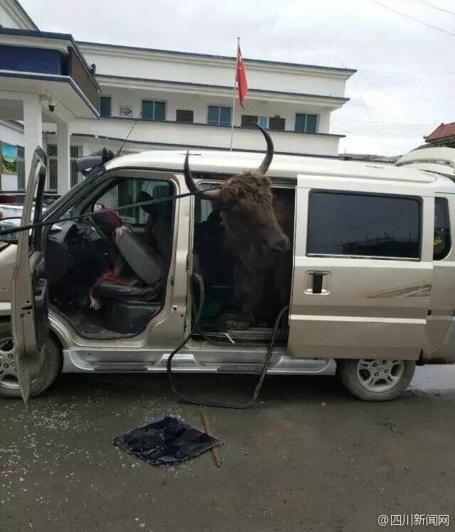 夜读:印度坚持拒绝澳海军参加联合军演,竟因为