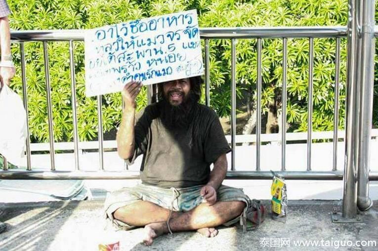 流浪汉摆摊卖柠檬 只为给流浪猫买猫粮 - 梅思特 - 你拥有很多,而我,只有你。。。 流浪汉摆摊卖柠檬 只为给流浪猫买猫粮 - 梅思特 - 你拥有很多,而我,只有你。。。